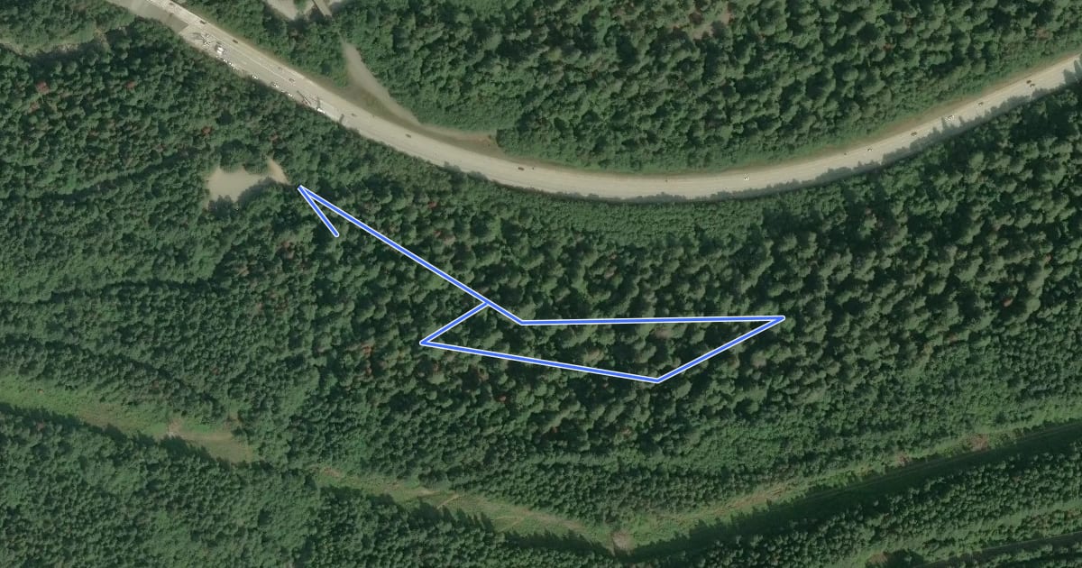 Маршрут Asahel Curtis Nature Trail на спутниковом снимке
