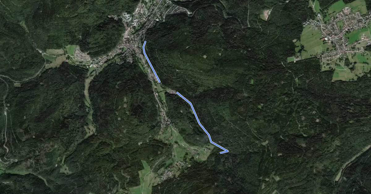 Маршрут Aschenhütte - Bad Herrenalb Badwegle на спутниковом снимке