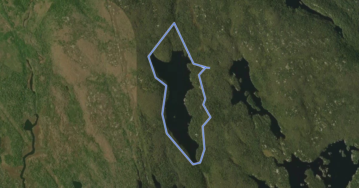 Маршрут Ash Lake Loop на спутниковом снимке