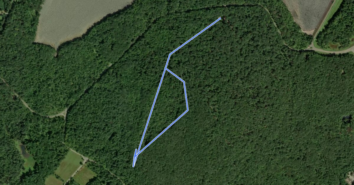 Маршрут Ashokan Quarry Trail на спутниковом снимке