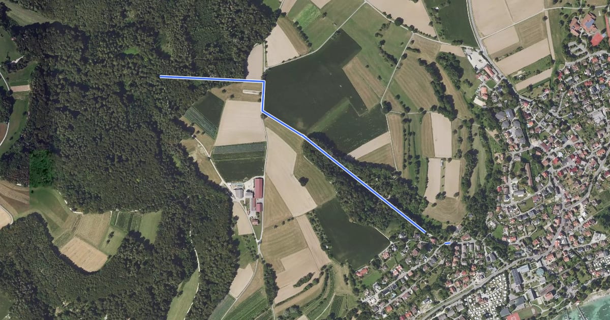 Маршрут Aspen - Gaienhofen Hermann-Hesse-Weg на спутниковом снимке