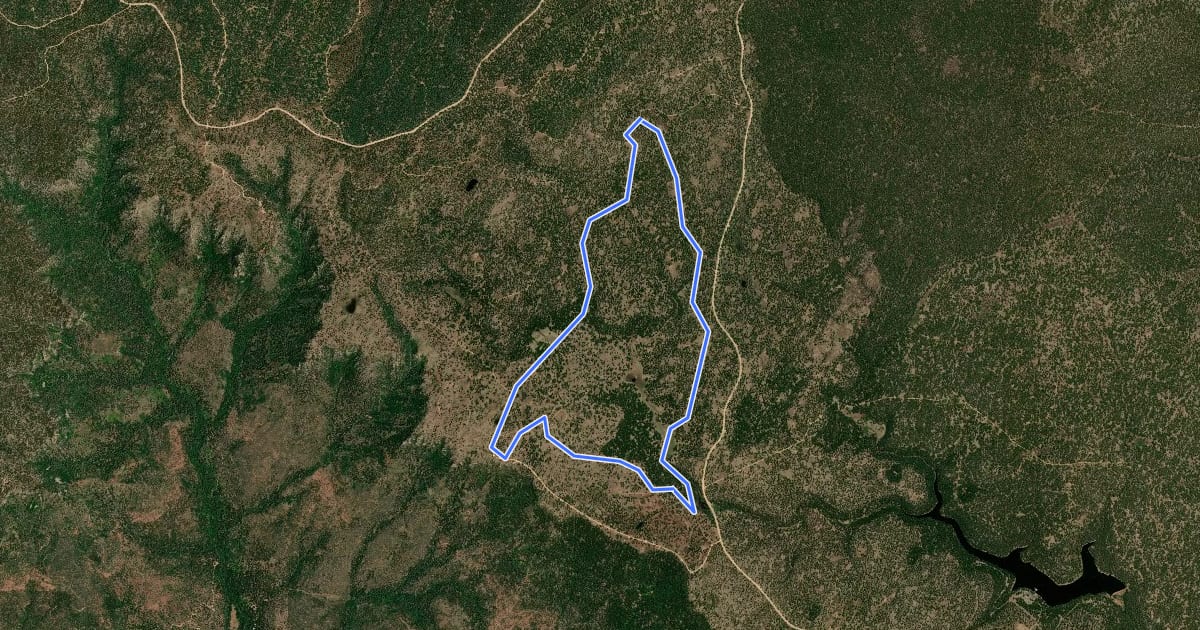 Маршрут Aspen Trail 411 на спутниковом снимке