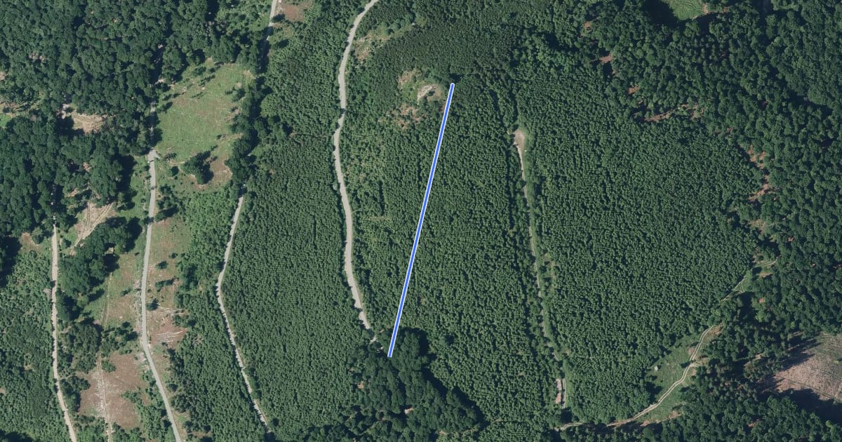 Маршрут Assinghausen Rundwanderweg A3 на спутниковом снимке