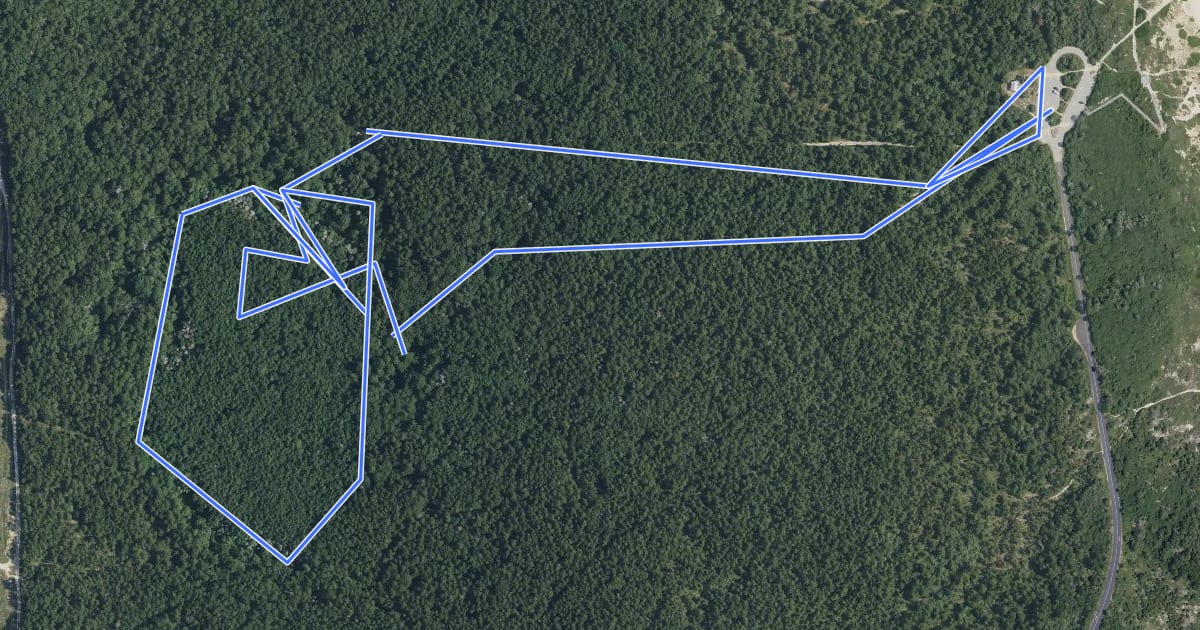 Маршрут Atlantic White Cedar Swamp Trail на спутниковом снимке