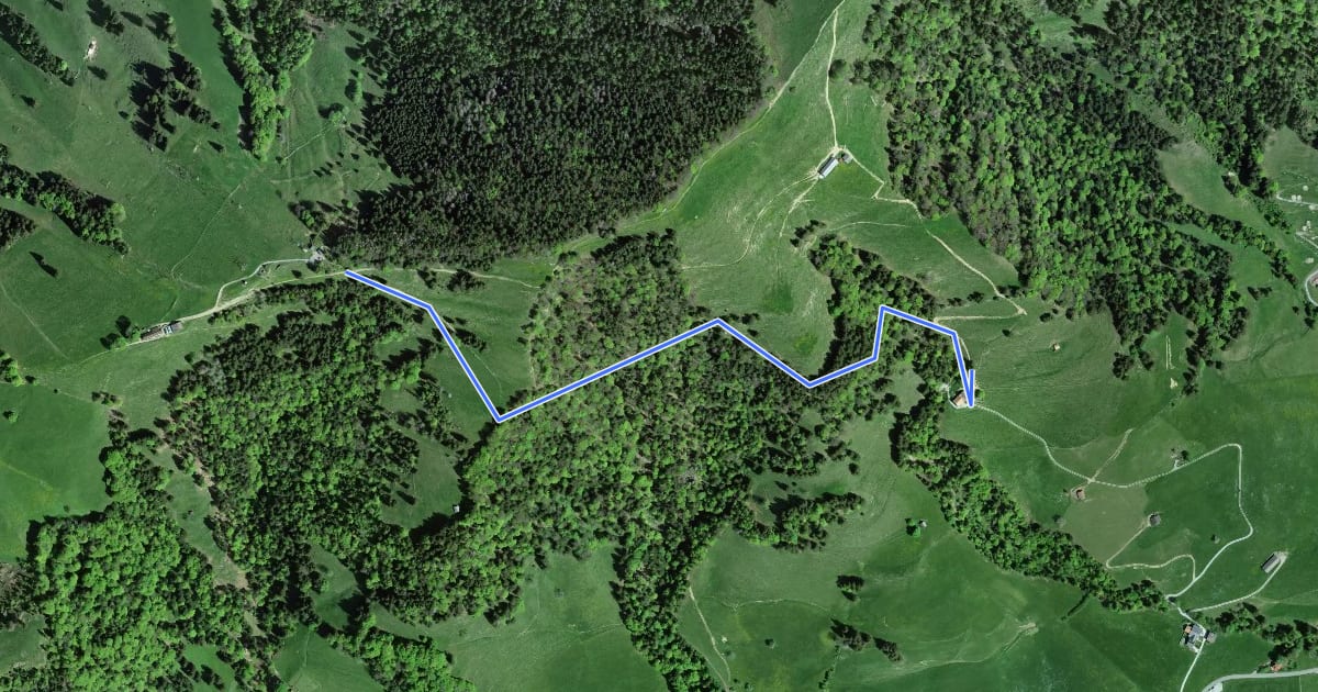 Маршрут Atzmännig Bergstation-Hüttenberg на спутниковом снимке