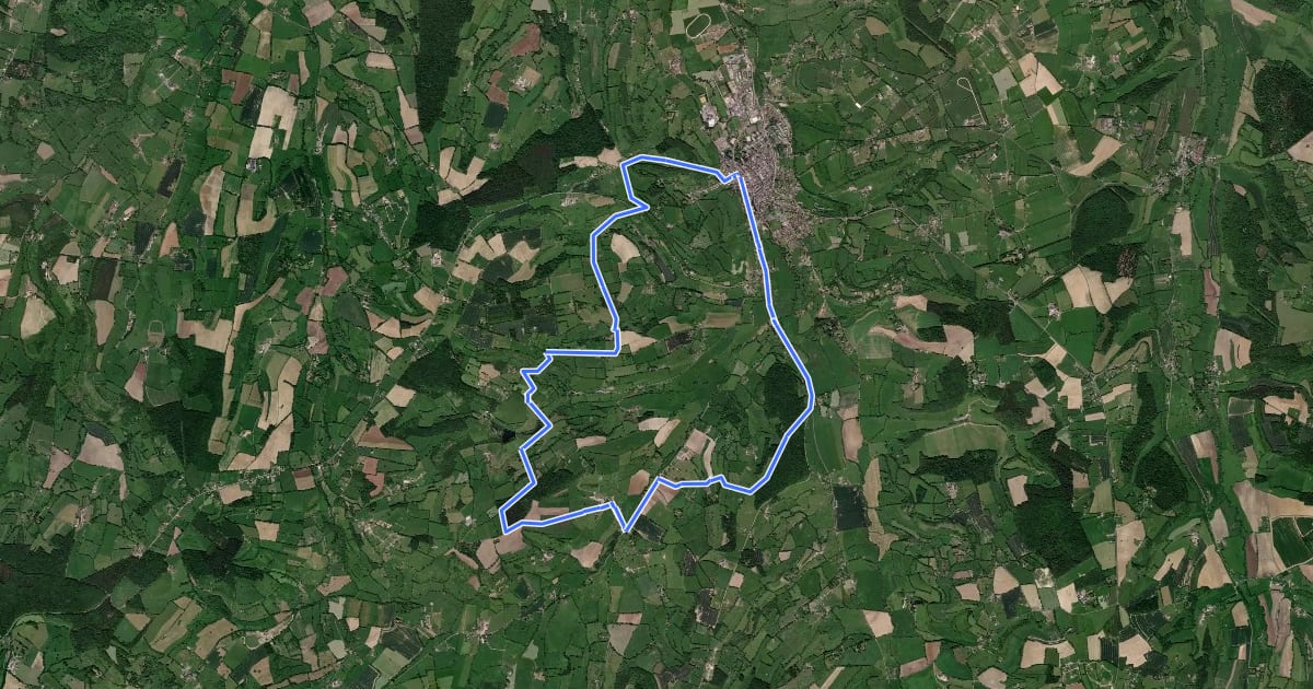 Маршрут Au fil des Chemins d'Ecouves - La Pierre aux Busards на спутниковом снимке