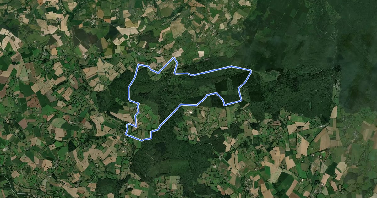 Маршрут Au fil des chemins d'Ecouves - La Roche Mabile-Livaie на спутниковом снимке