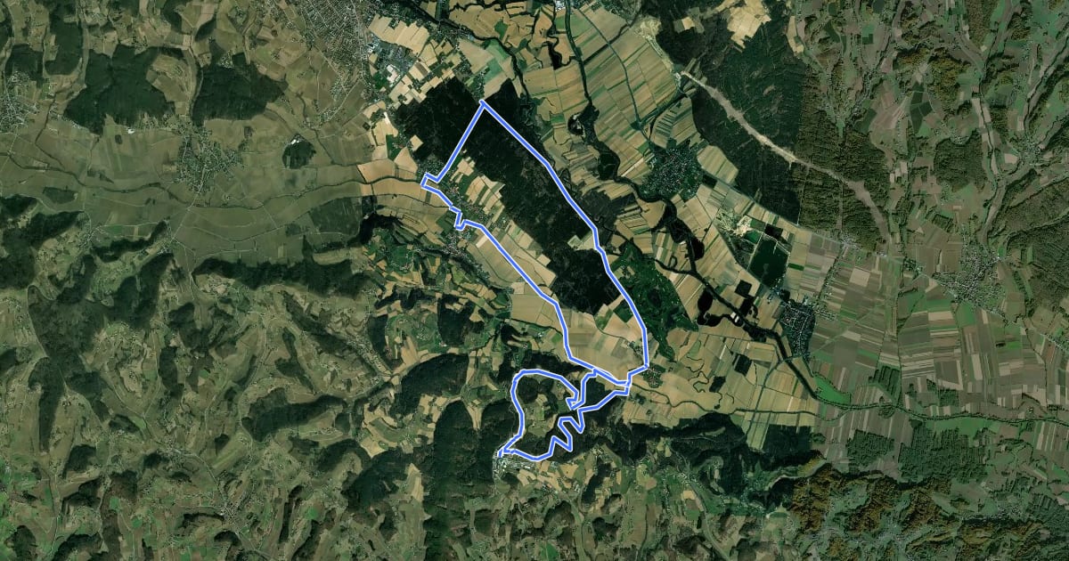 Маршрут Au & Uferweg, lange Variante (Weg 8) на спутниковом снимке