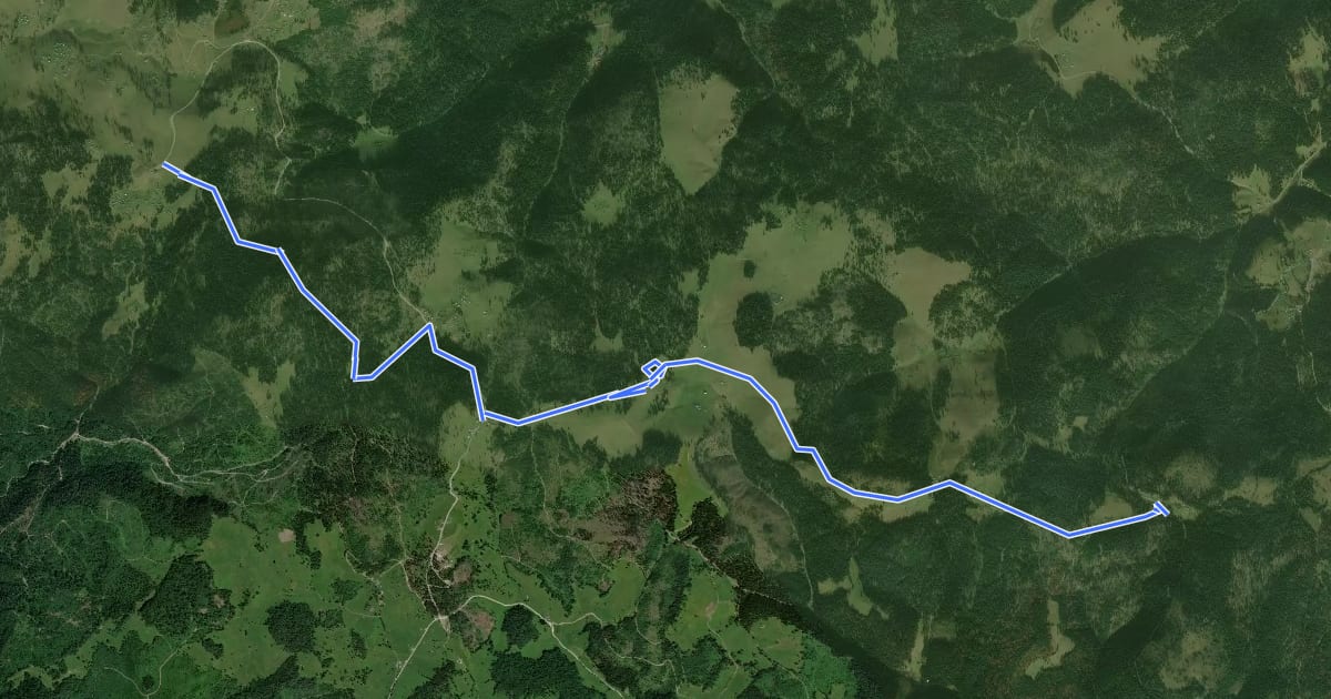 Маршрут Șaua Ursoaia - Poiana Călineasa на спутниковом снимке