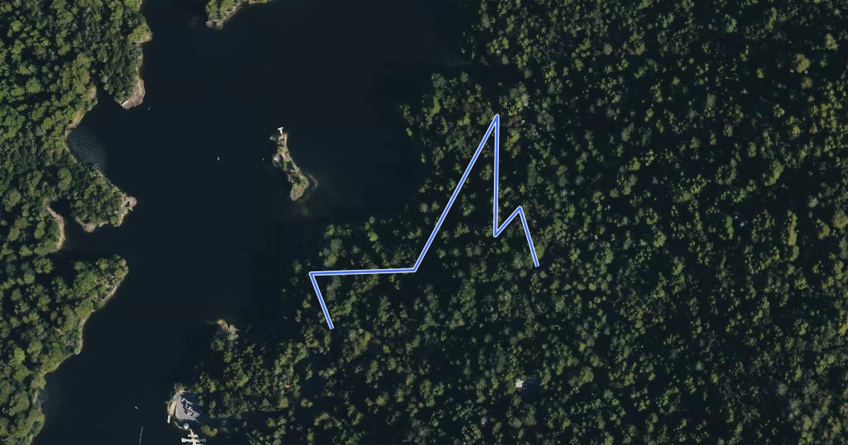 Маршрут Auchmar Trail на спутниковом снимке
