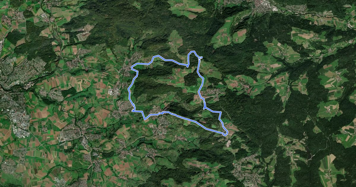 Маршрут Auenwald - Rundwanderweg 1 на спутниковом снимке