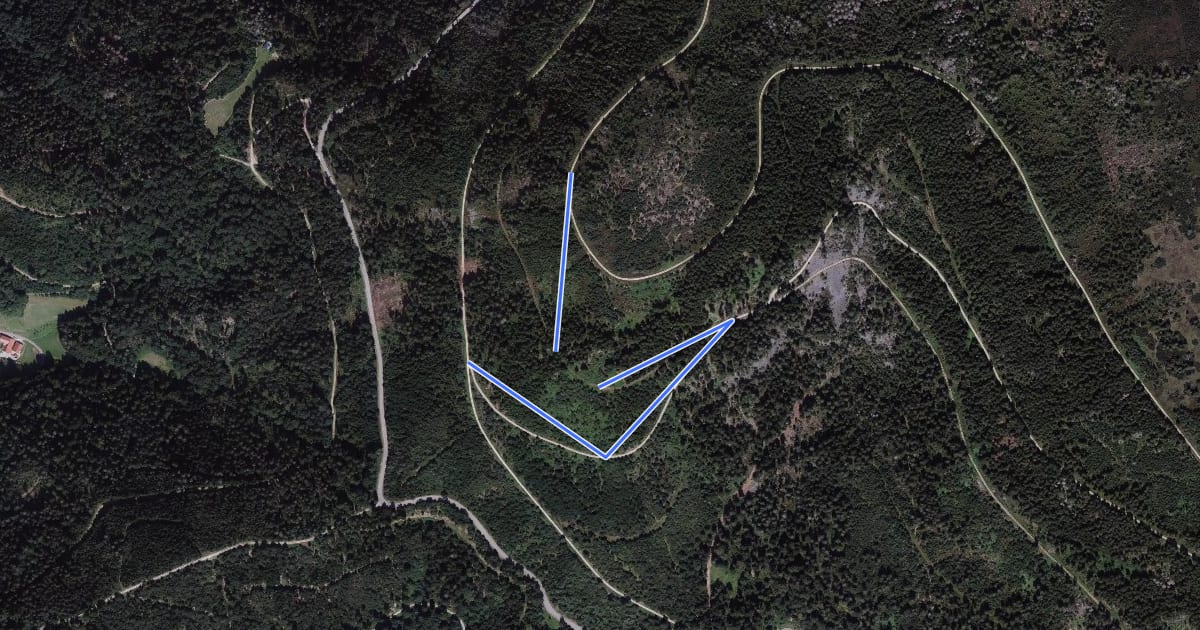 Маршрут Auerhahnweg - Melkereikopf Ettlinger Hütte на спутниковом снимке