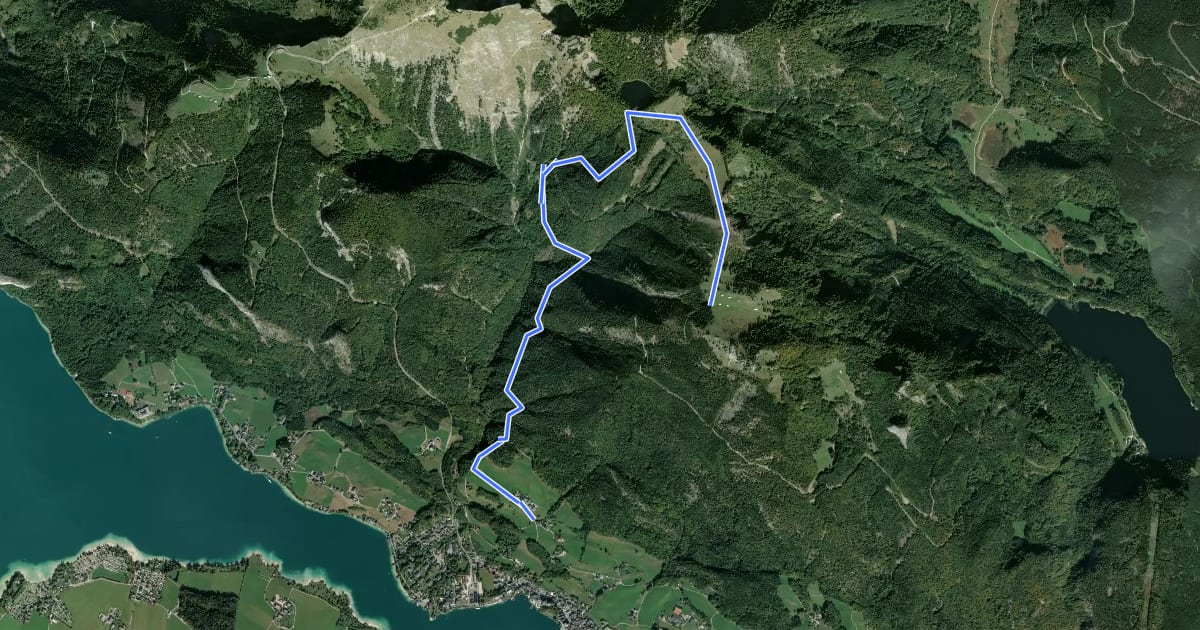 Маршрут Auerriesenweg на спутниковом снимке