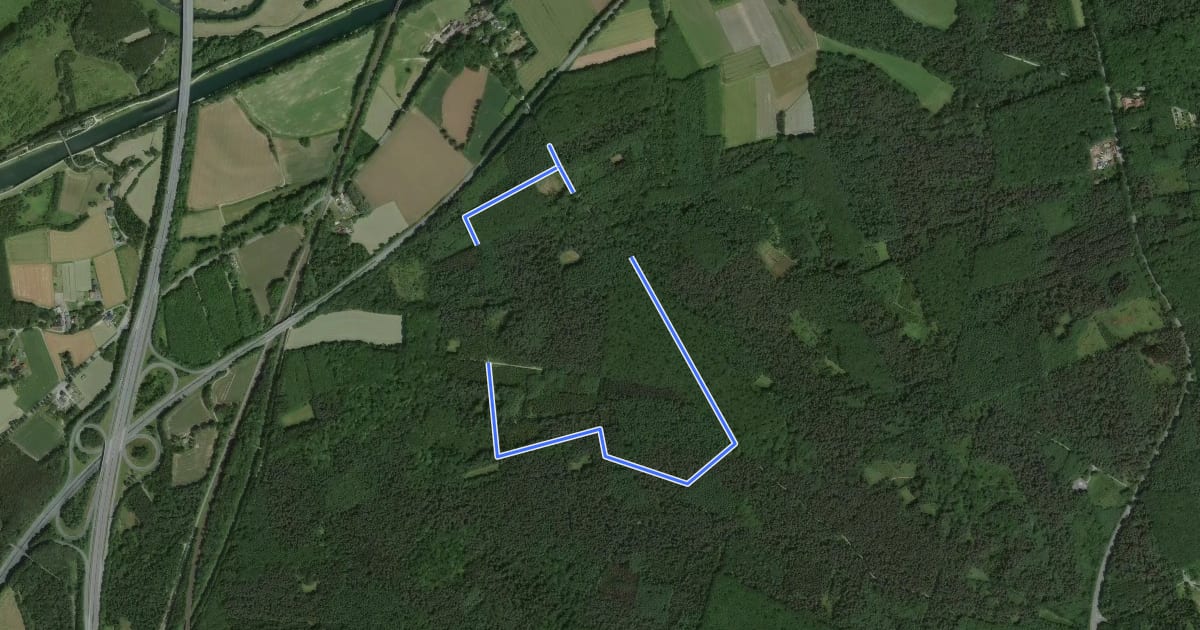 Маршрут Auf dem Hassel Rundweg A1 на спутниковом снимке