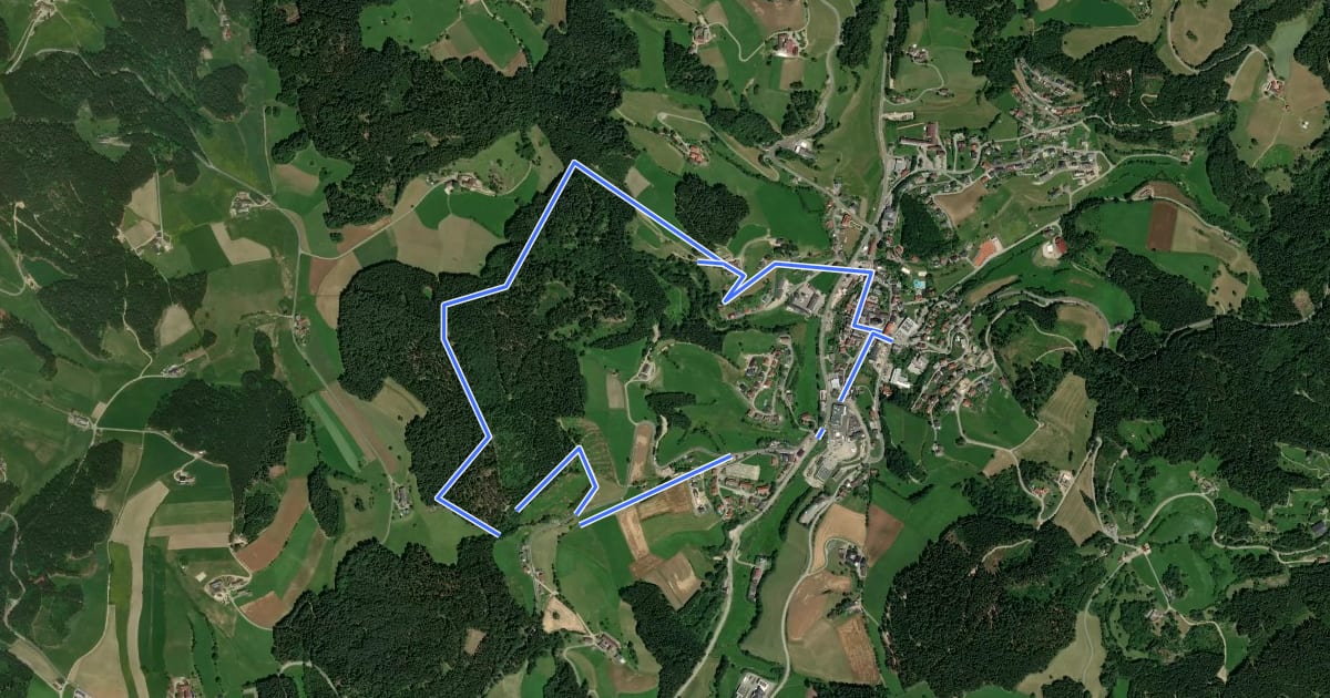 Маршрут Auf den Wolfsberg Nr. 24 на спутниковом снимке