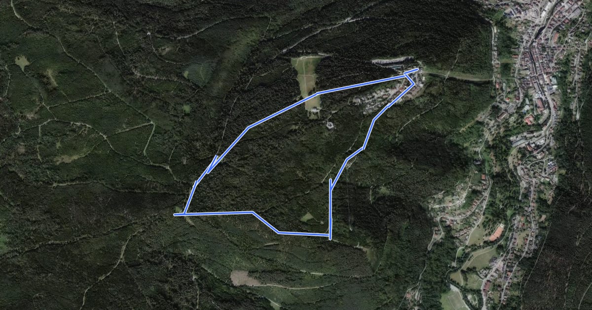 Маршрут AugenBlick-Runde Bad Wildbad Sommerberg на спутниковом снимке