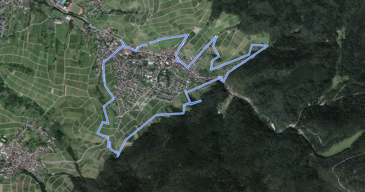 Маршрут AugenBlick-Runde Baden-Baden Neuweier на спутниковом снимке