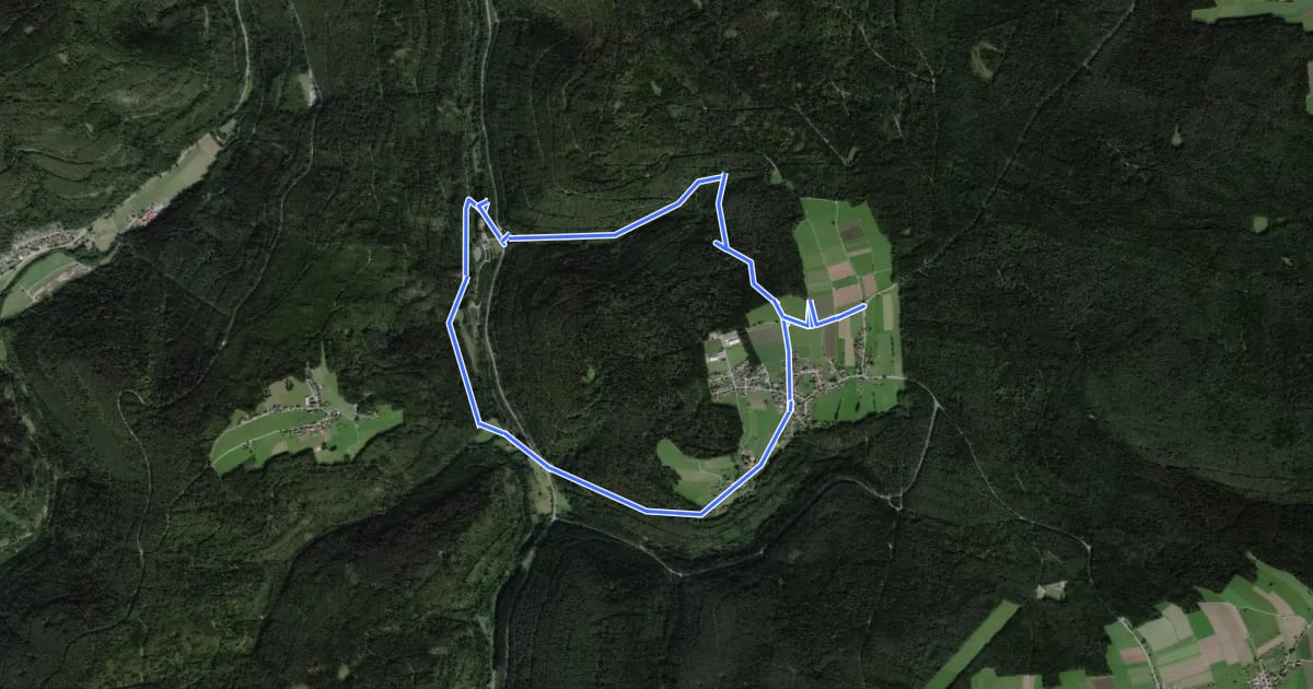 Маршрут AugenBlick-Runde Neuweiler Agenbach на спутниковом снимке