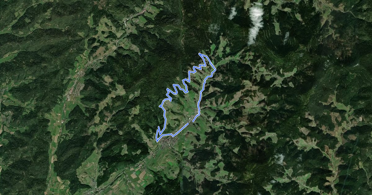 Маршрут AugenBlick-Runde Oberharmersbach Hermersberg на спутниковом снимке