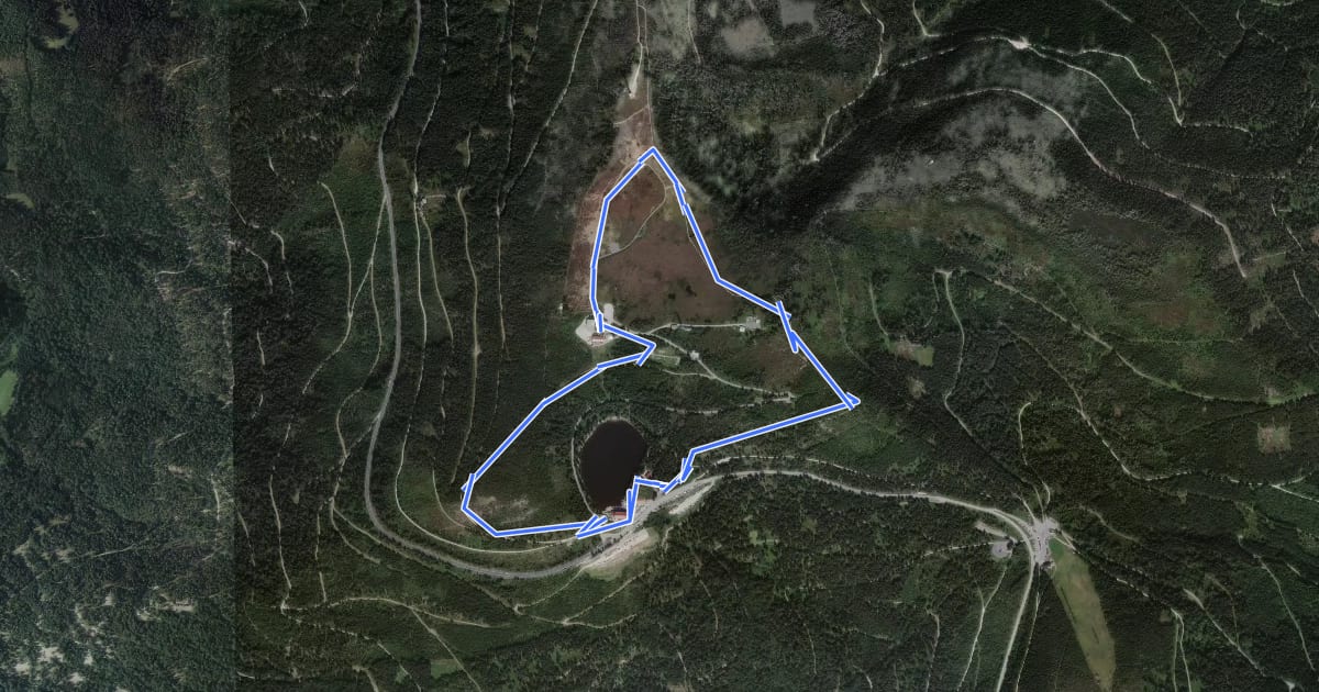 Маршрут AugenBlick-Runde Seebach Hornisgrinde на спутниковом снимке