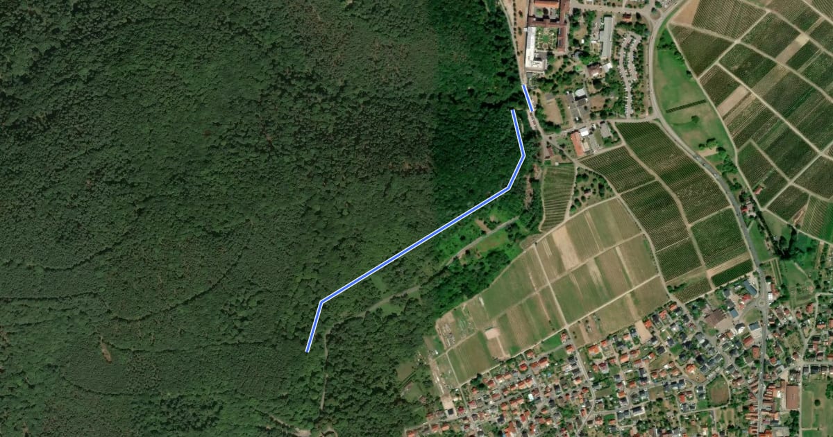 Маршрут August-Becker-Weg [Wegevariante Klingenmünster] на спутниковом снимке