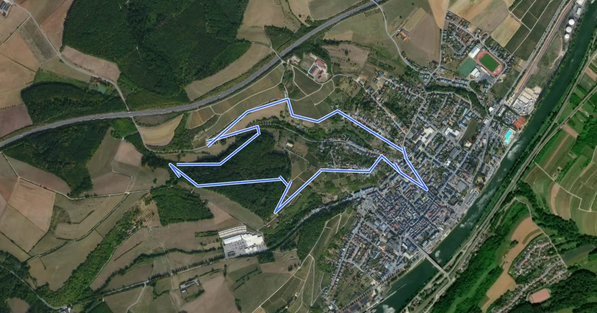 Маршрут Auto-Pédestre Grevenmacher II на спутниковом снимке