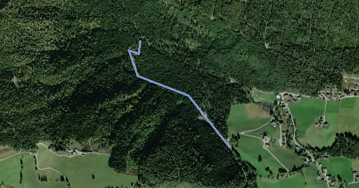 Маршрут Auwaldrunde на спутниковом снимке
