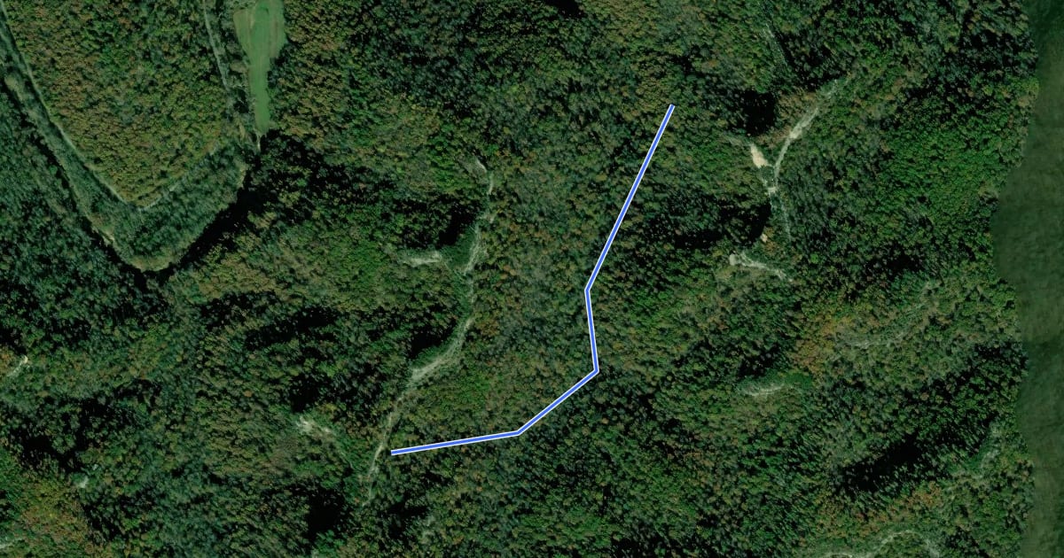 Маршрут Auxier Branch Trail #203 на спутниковом снимке