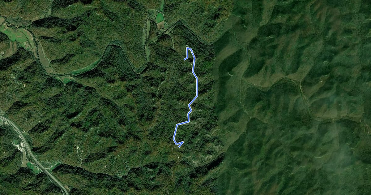 Маршрут Auxier Ridge Trail #204 на спутниковом снимке