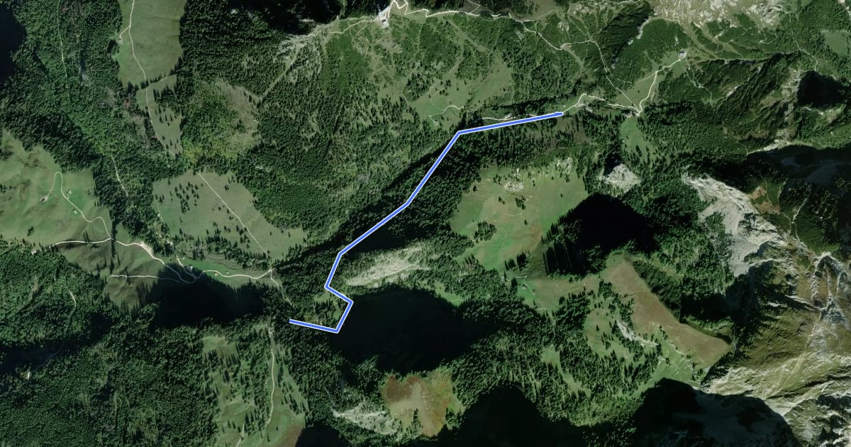 Маршрут AV Weg 498 (Brennhütte - Schneibsteinhaus) на спутниковом снимке