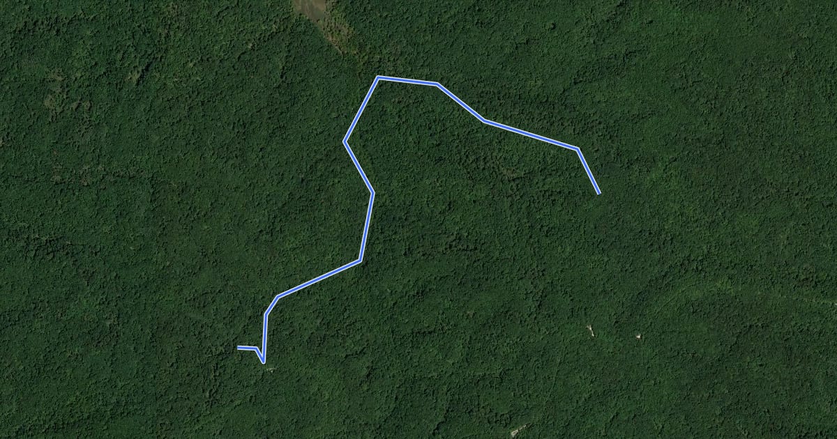 Маршрут Axsom Branch Trail на спутниковом снимке