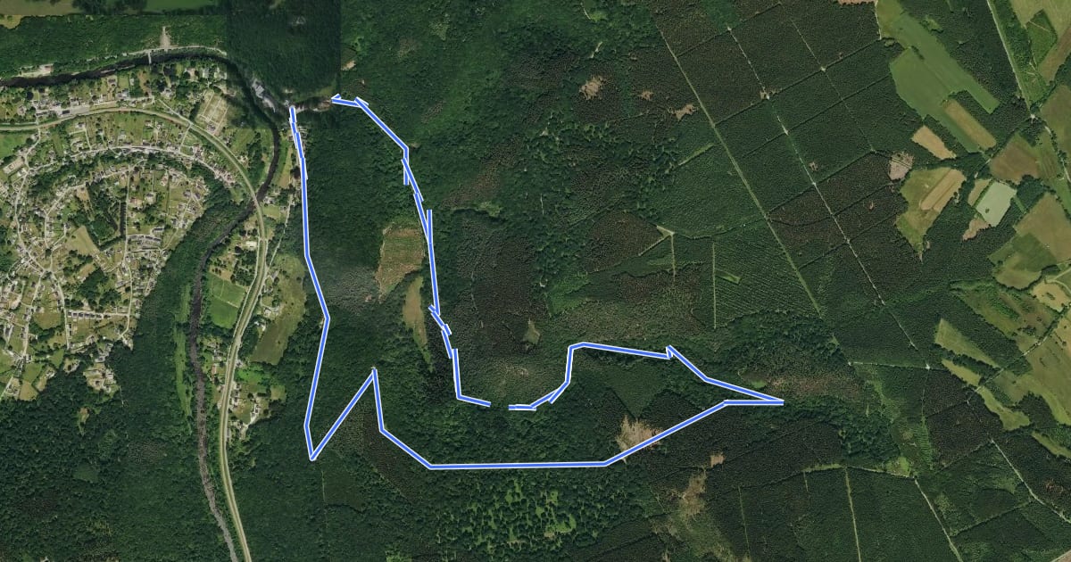 Маршрут AY21 Vallon du Ninglinspo на спутниковом снимке