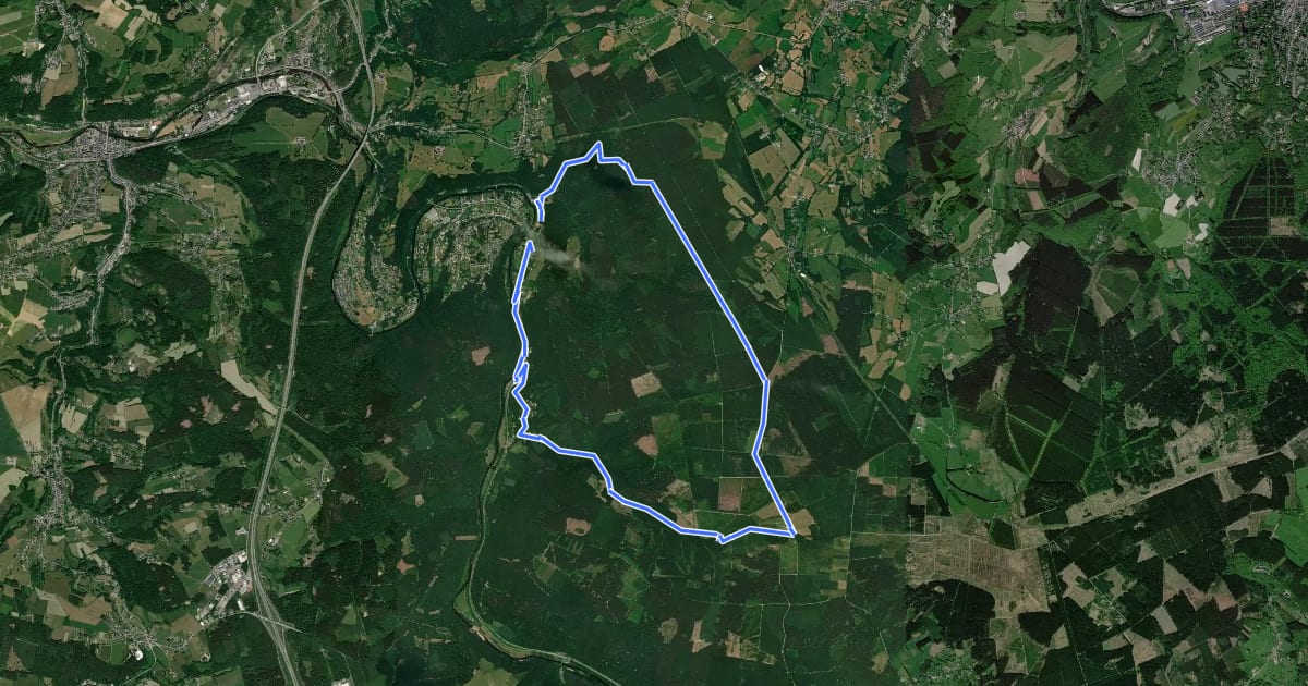 Маршрут AY22 Porallée - Ville-au-bois - Chefna на спутниковом снимке