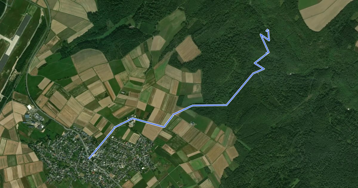 Маршрут Bücheler Wanderweg 2 на спутниковом снимке