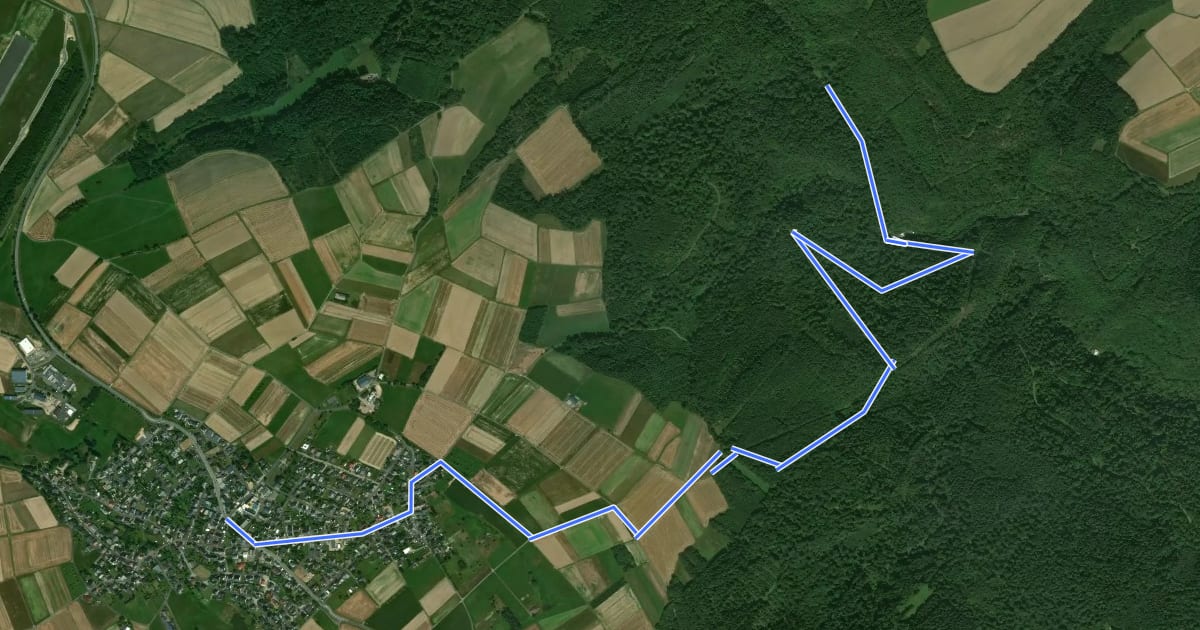 Маршрут Bücheler Wanderweg 3 на спутниковом снимке