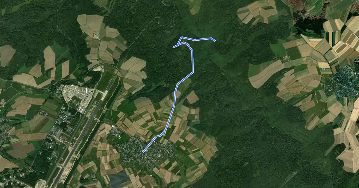 Маршрут Bücheler Wanderweg 5 на спутниковом снимке