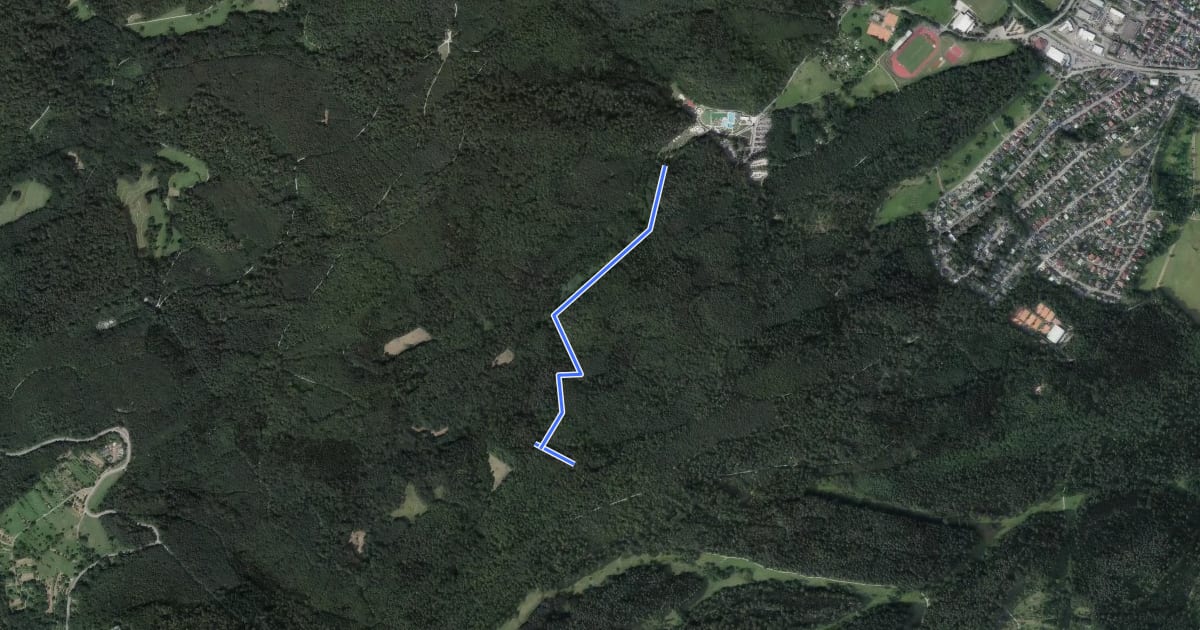 Маршрут Bückelfirst - Traischbachtal на спутниковом снимке