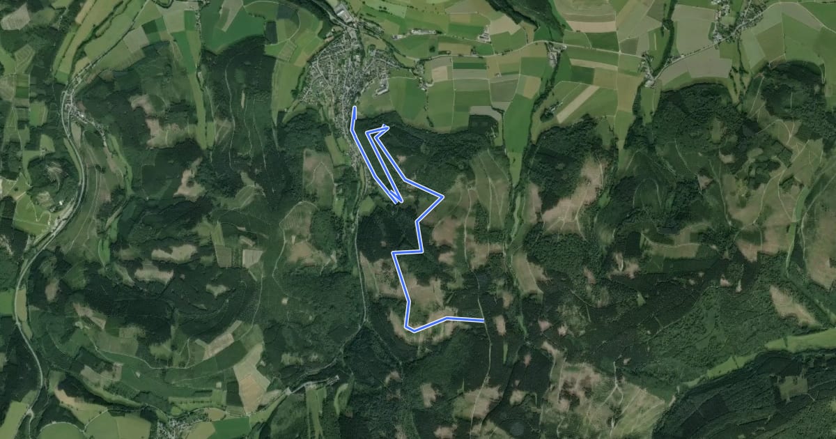 Маршрут Bödefeld Rundweg B2 на спутниковом снимке