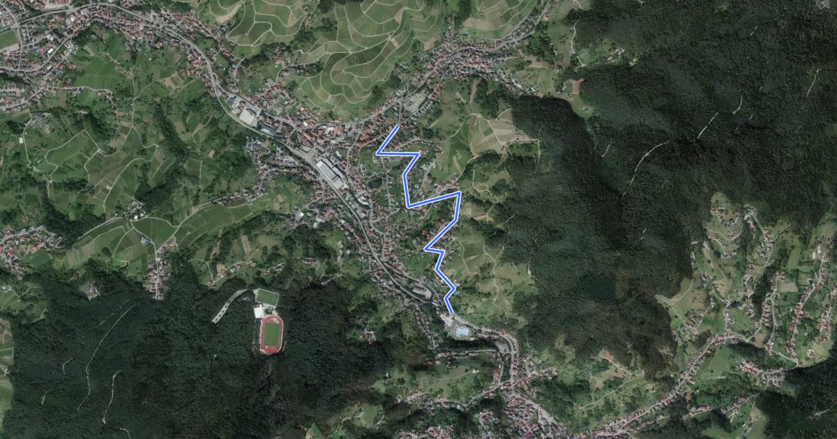 Маршрут Bühlertal Tourist-Information - Liehenbach на спутниковом снимке