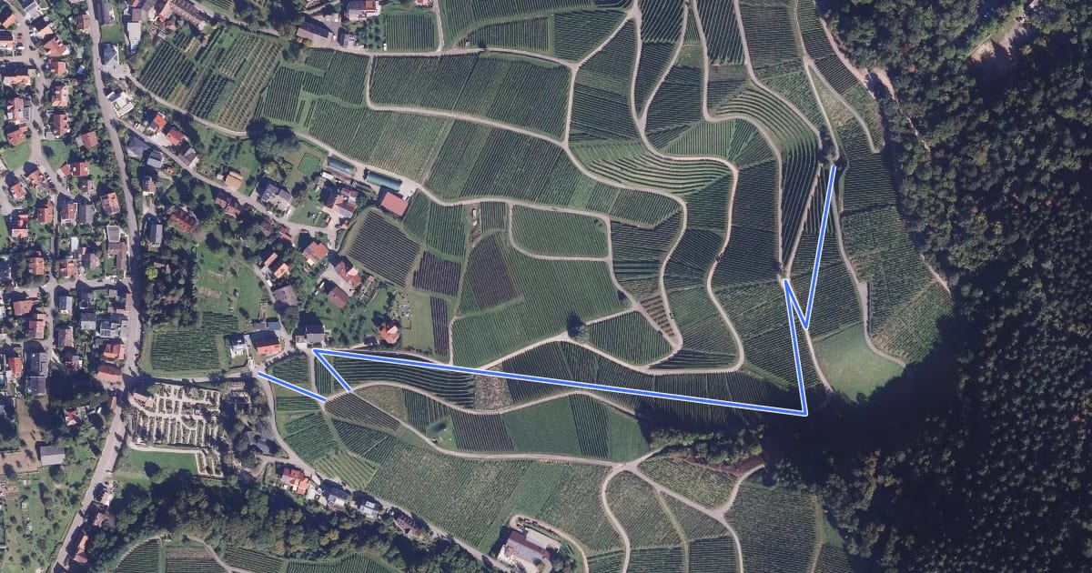 Маршрут Bühlweg Kapelle - Im Hafner на спутниковом снимке