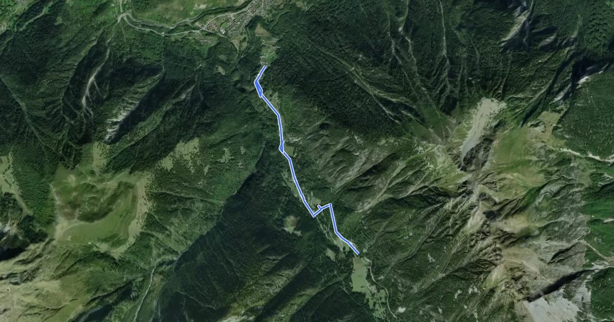 Маршрут Bémont > Champex d'en Bas на спутниковом снимке