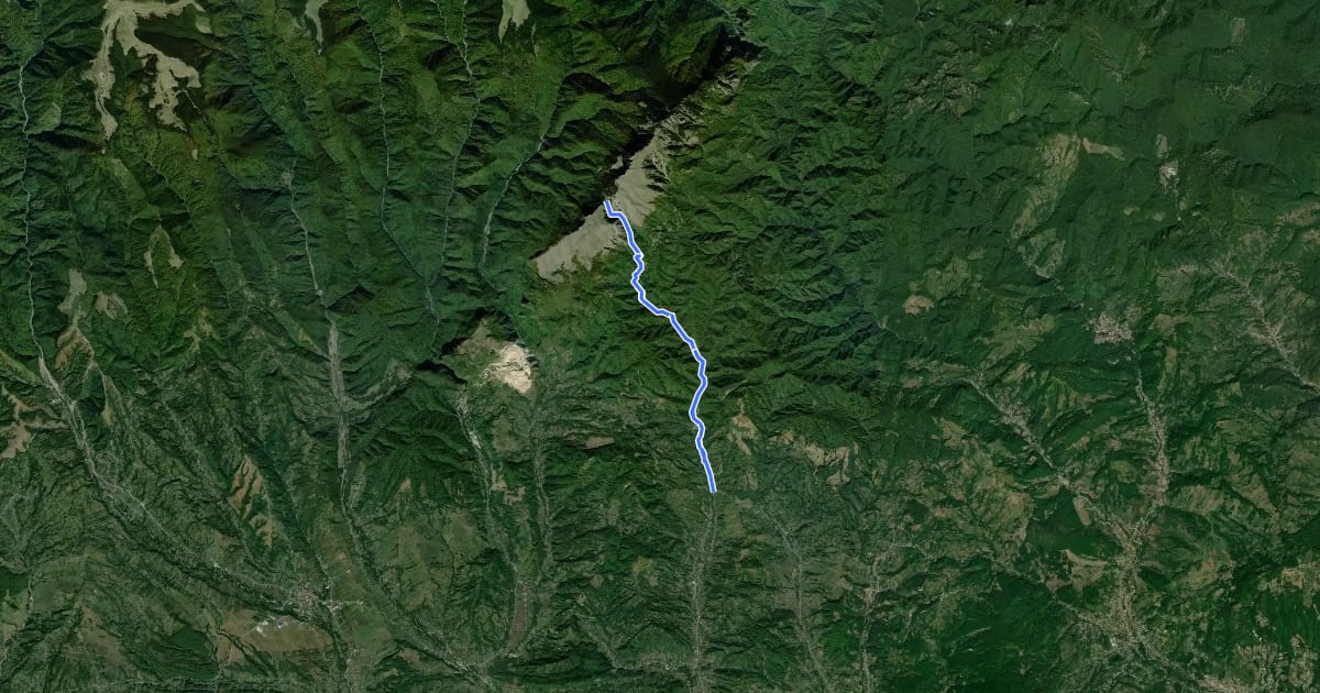 Маршрут Bărbătești - Valea Otăsăului - Valea Bulzului - Vârful Țucla - Curmătura Builei на спутниковом снимке