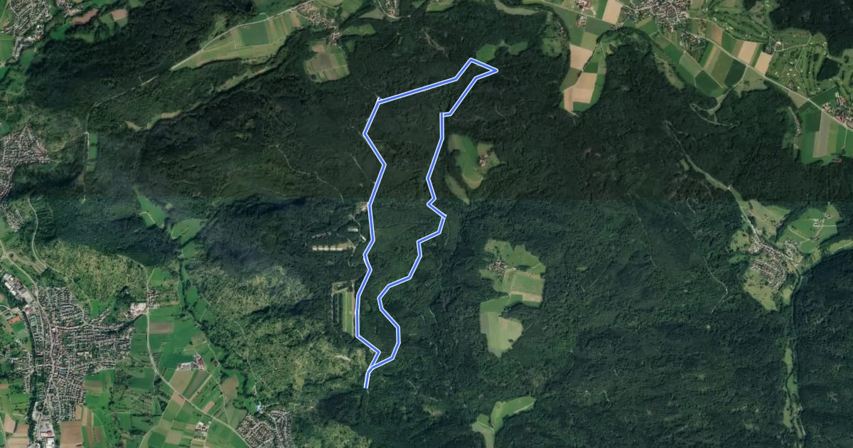 Маршрут Bärenbachsee-Weg на спутниковом снимке