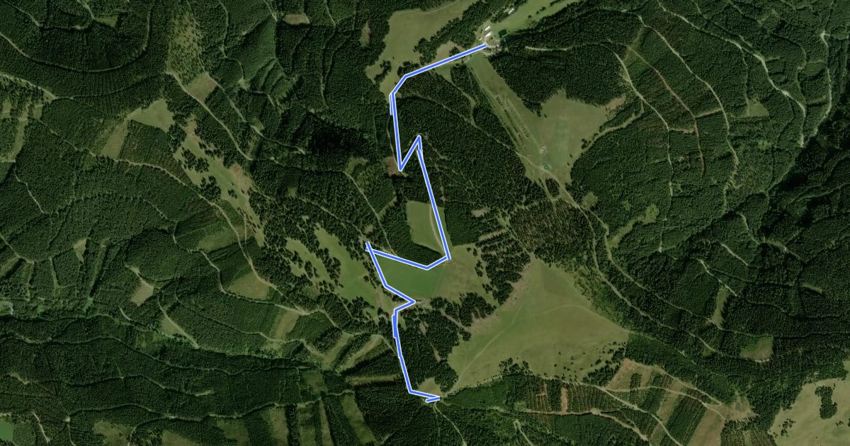 Маршрут Bärenlacke Route на спутниковом снимке