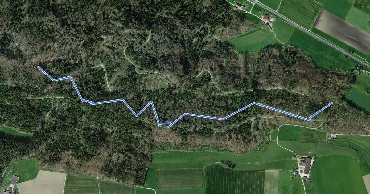 Маршрут Bärenried-Trail на спутниковом снимке