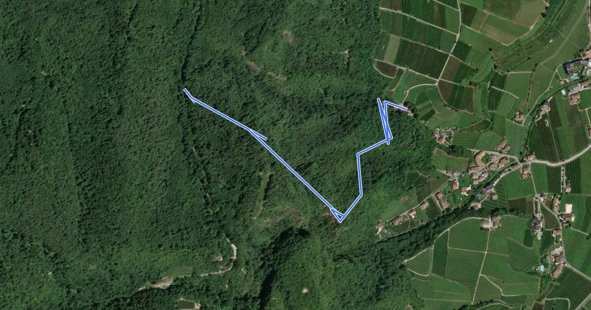 Маршрут Bärentalwanderweg на спутниковом снимке