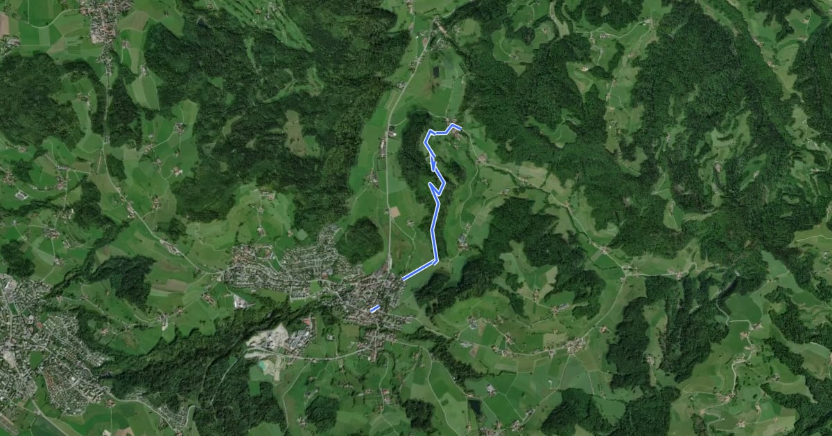 Маршрут Bäretswil - Greifenberg - Hinterburg на спутниковом снимке