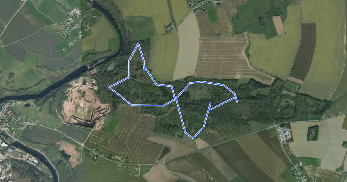 Маршрут Bürgerwaldrundweg на спутниковом снимке