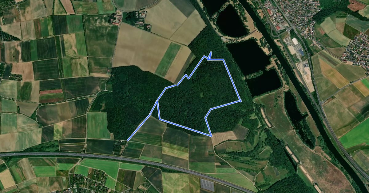 Маршрут Bürgerwaldweg Gochsheim на спутниковом снимке