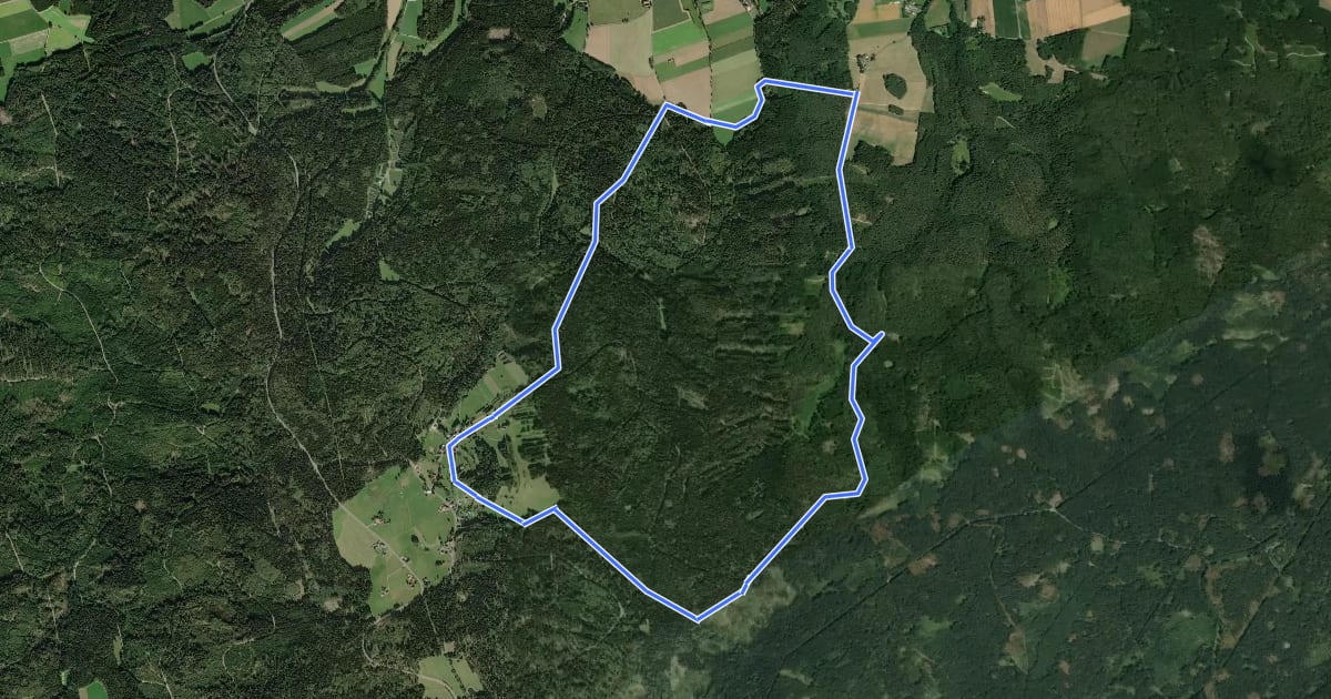 Маршрут Bärnau Rundweg 1: Zur Altglashütte und zur Waldnaabquelle на спутниковом снимке